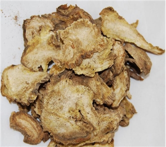 种植中药材独活，收益如何