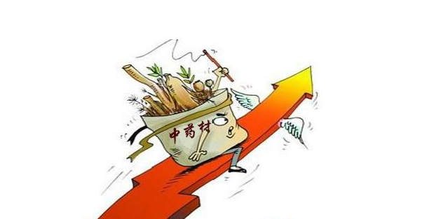 药材价格普涨，这些低价品种会不会有春天？