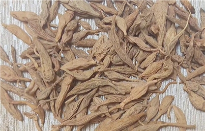 中药材麦冬你认识几种？